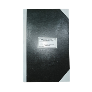 Staff Account Scrutiny Register